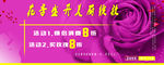 玫瑰花季