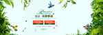春天banner