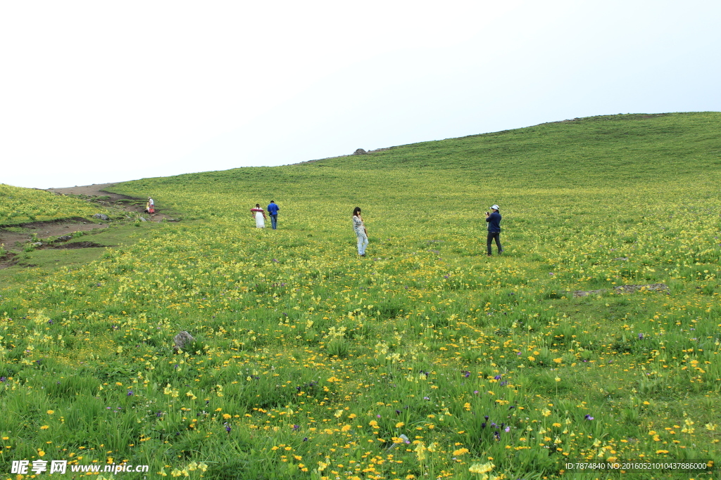 九顶山风光