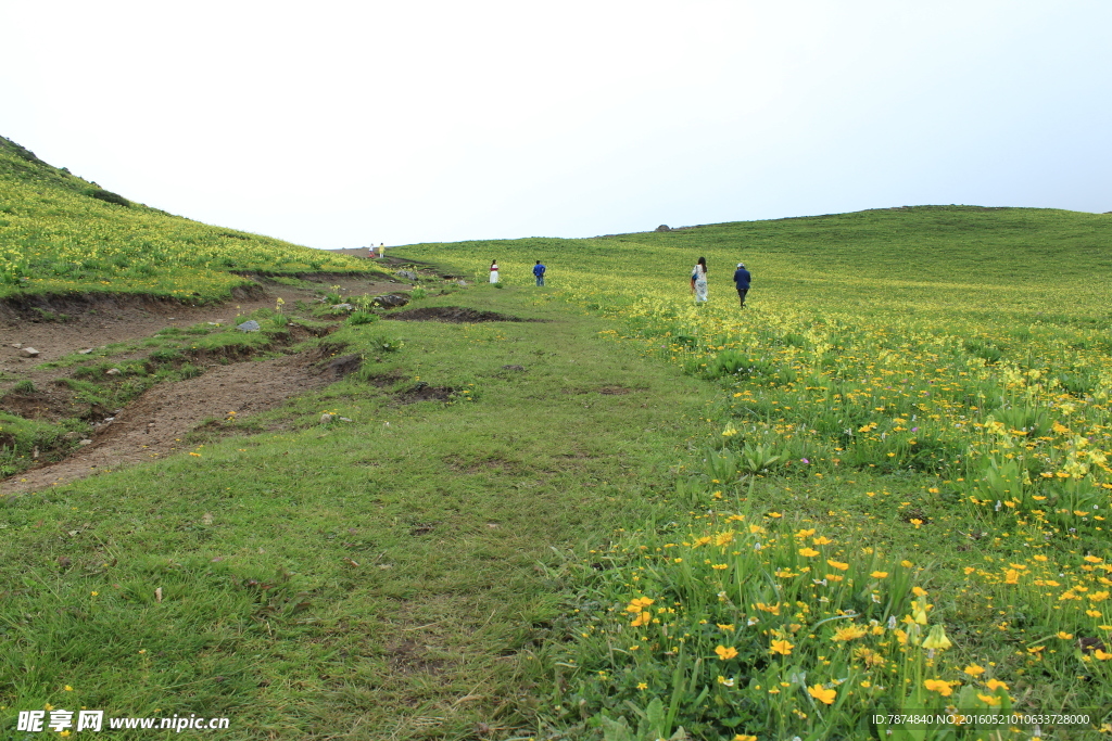 九顶山风光