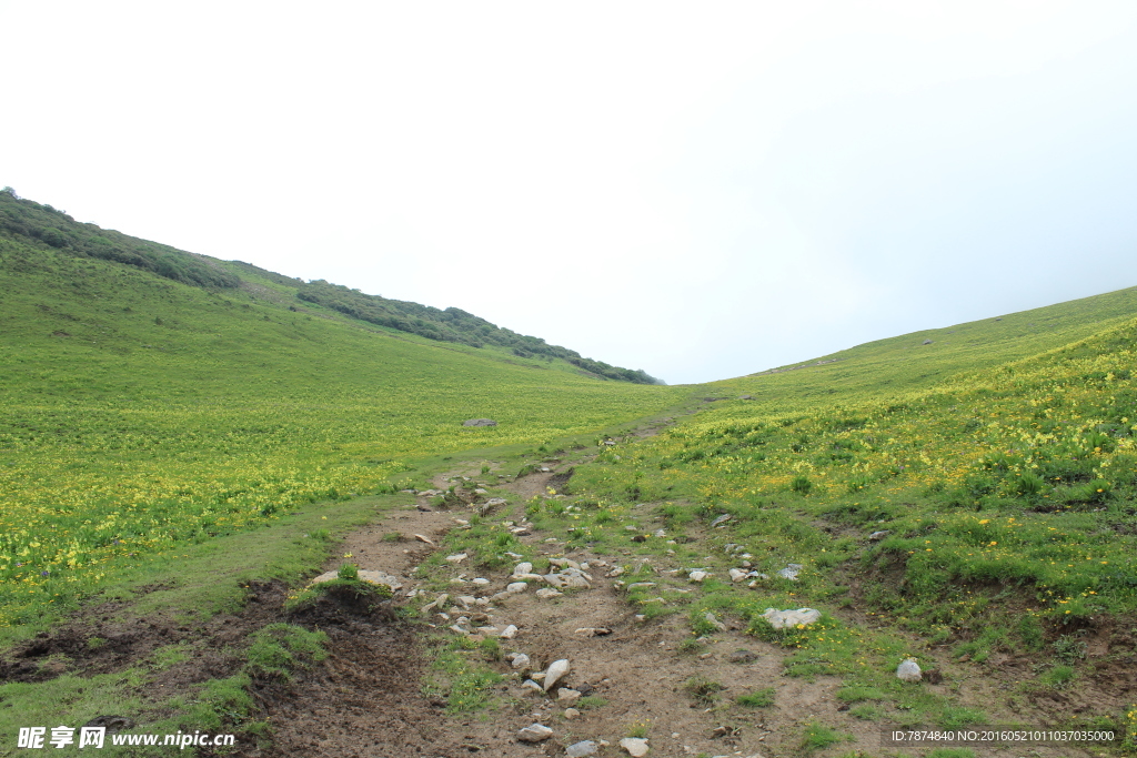 九顶山风光