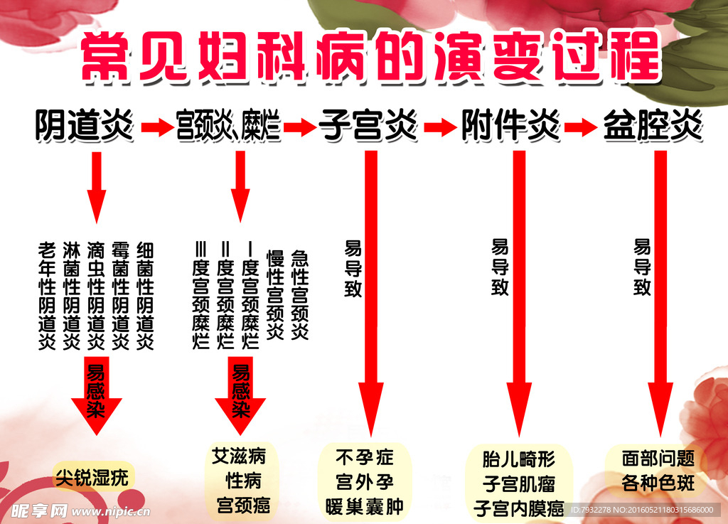 演变过程