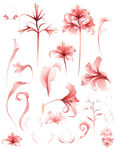 花