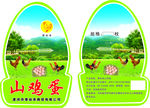 山鸡蛋合格证