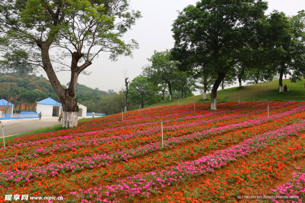 奥林匹克公园
