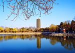 北京大学