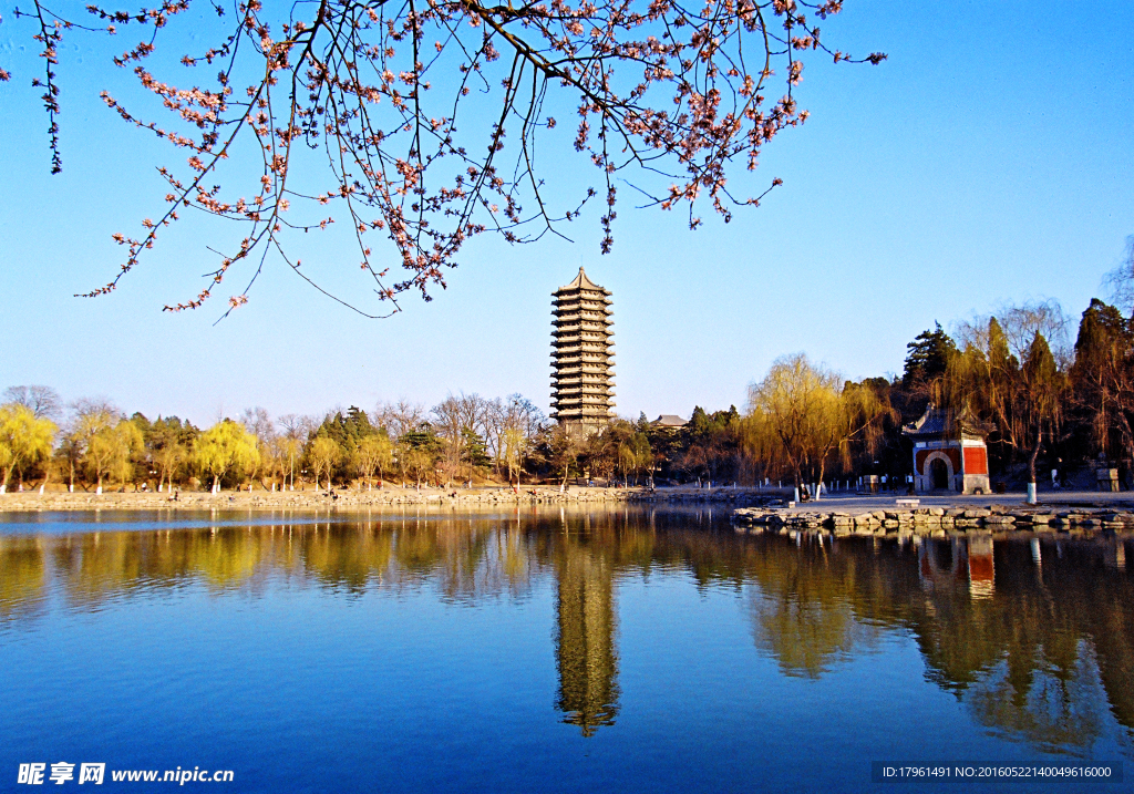 北京大学