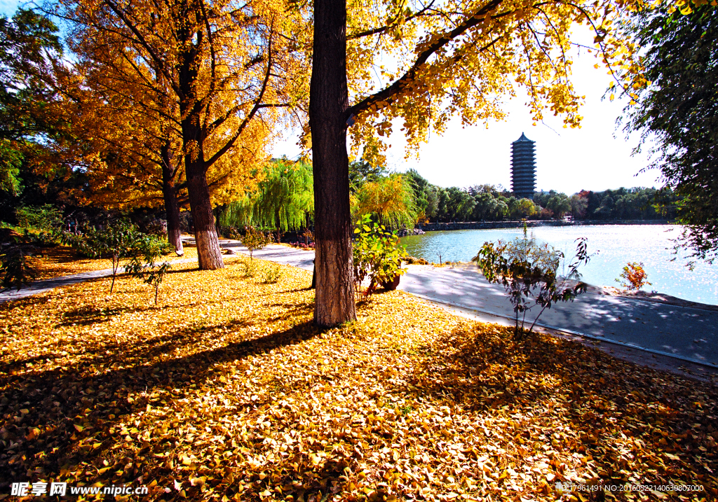 北京大学