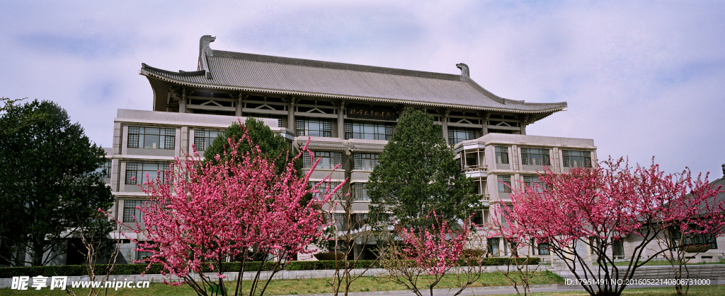 北京大学