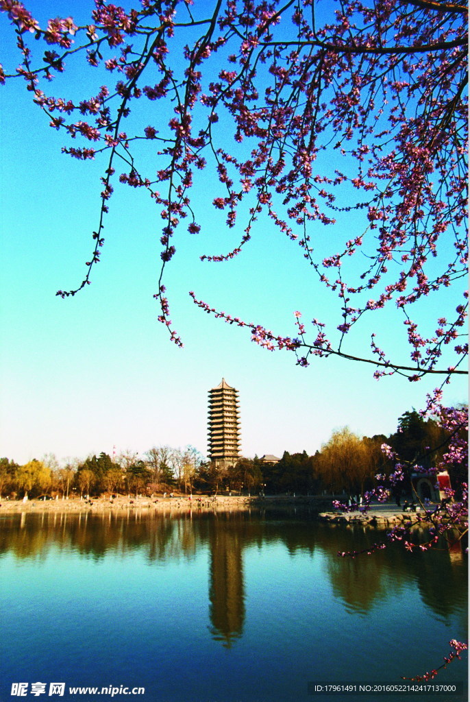 北京大学