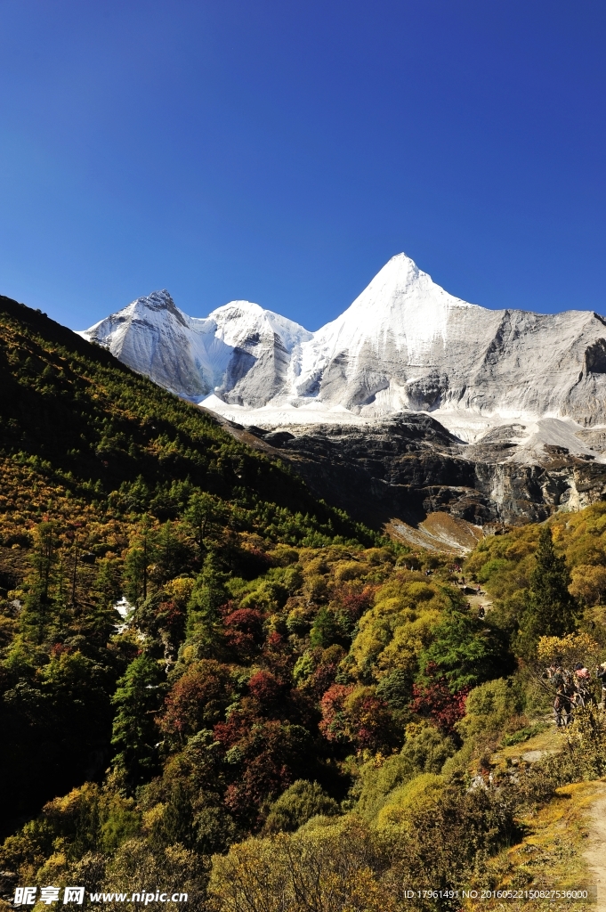 苍山
