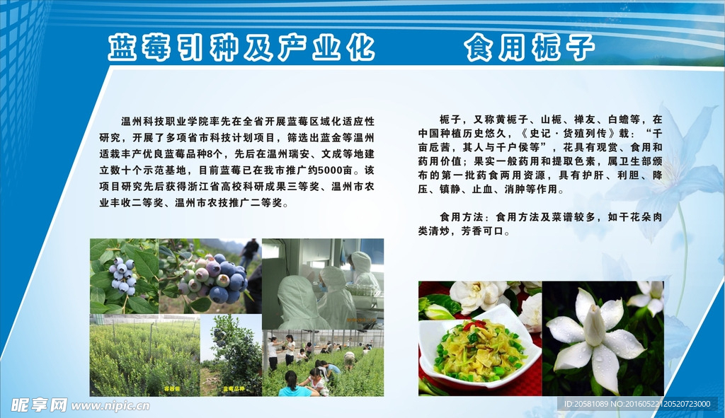 智能大棚