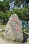 公园景观