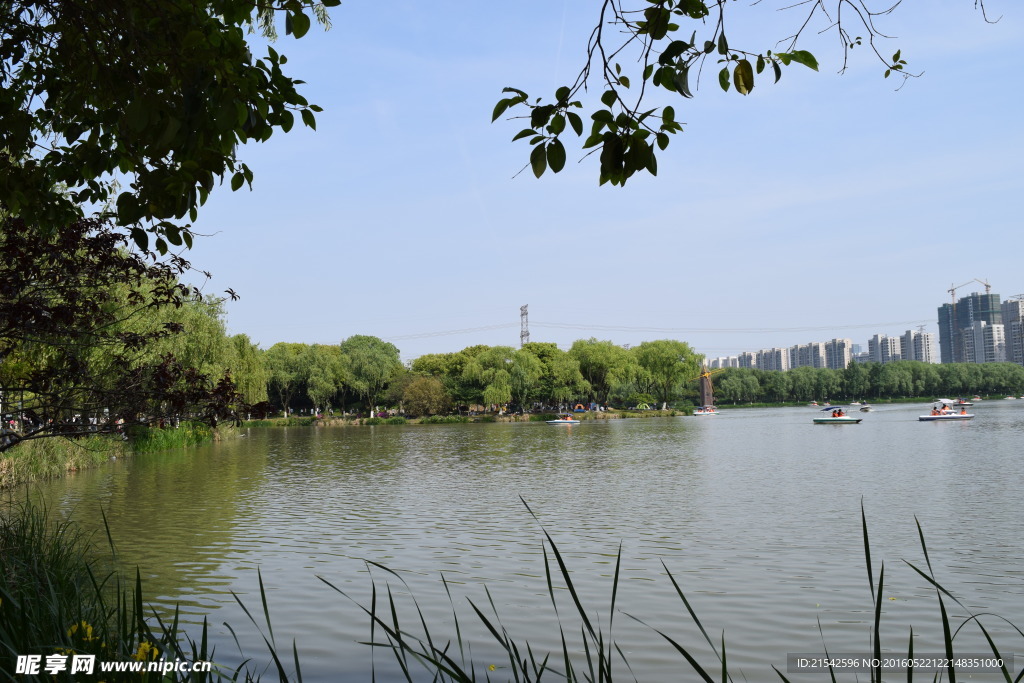 公园景色