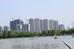 湖边城市
