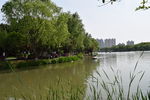 公园景色