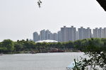公园景色