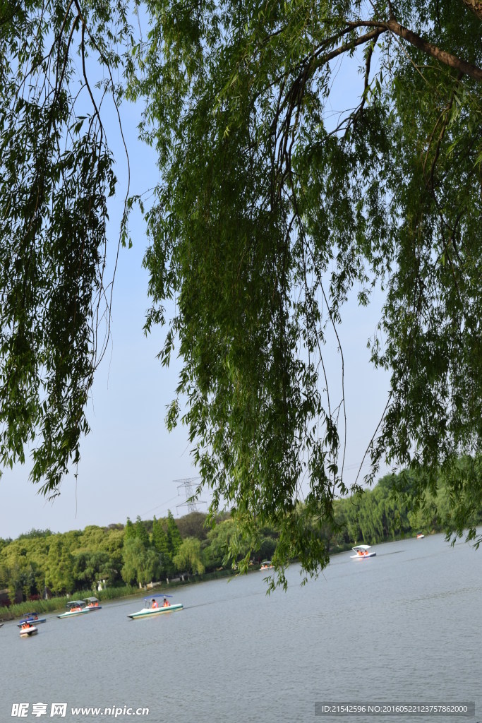 公园景观