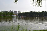 公园景观