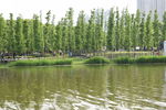 公园景观