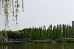 公园景观