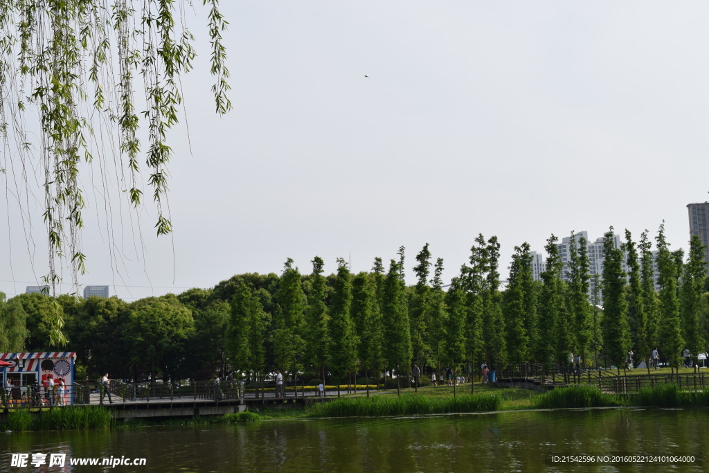 公园景观