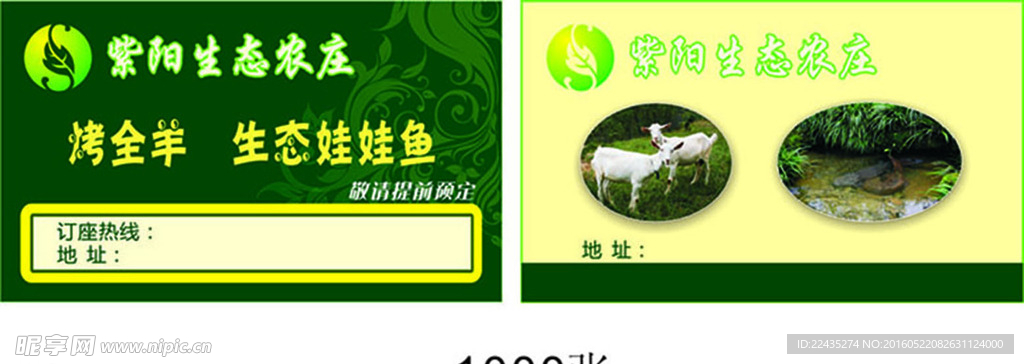 娃娃鱼