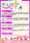 招生单页