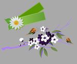 花朵标签 梅花素材