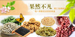 果然不凡