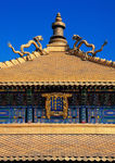 古代建筑的金色屋顶和精致牌匾
