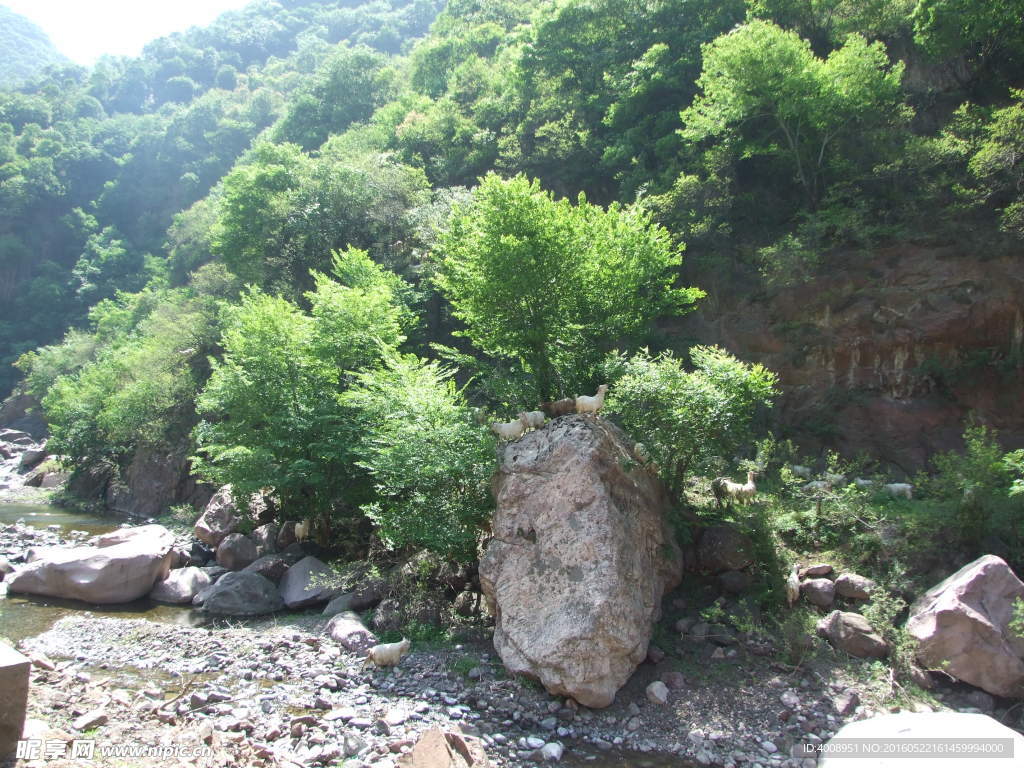 小沟背