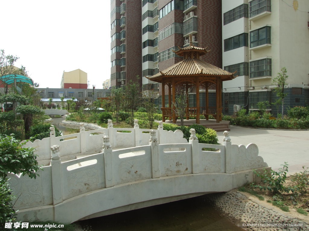 小区绿化