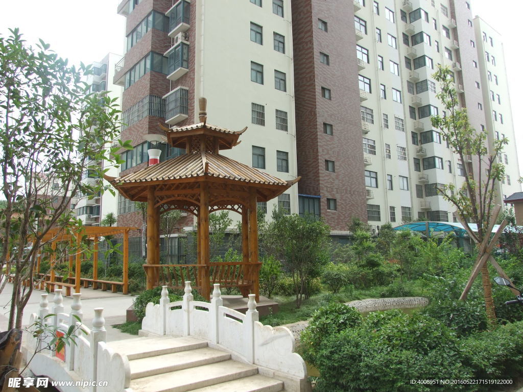 小区绿化