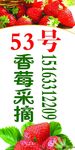 采摘园