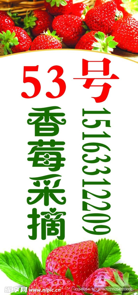 采摘园