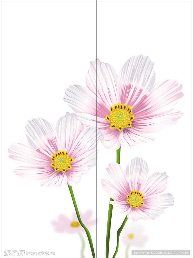 菜花