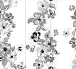 黑白花