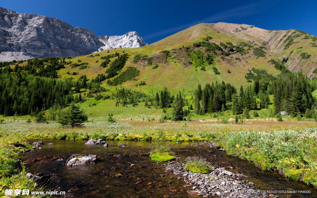 青山绿水背景