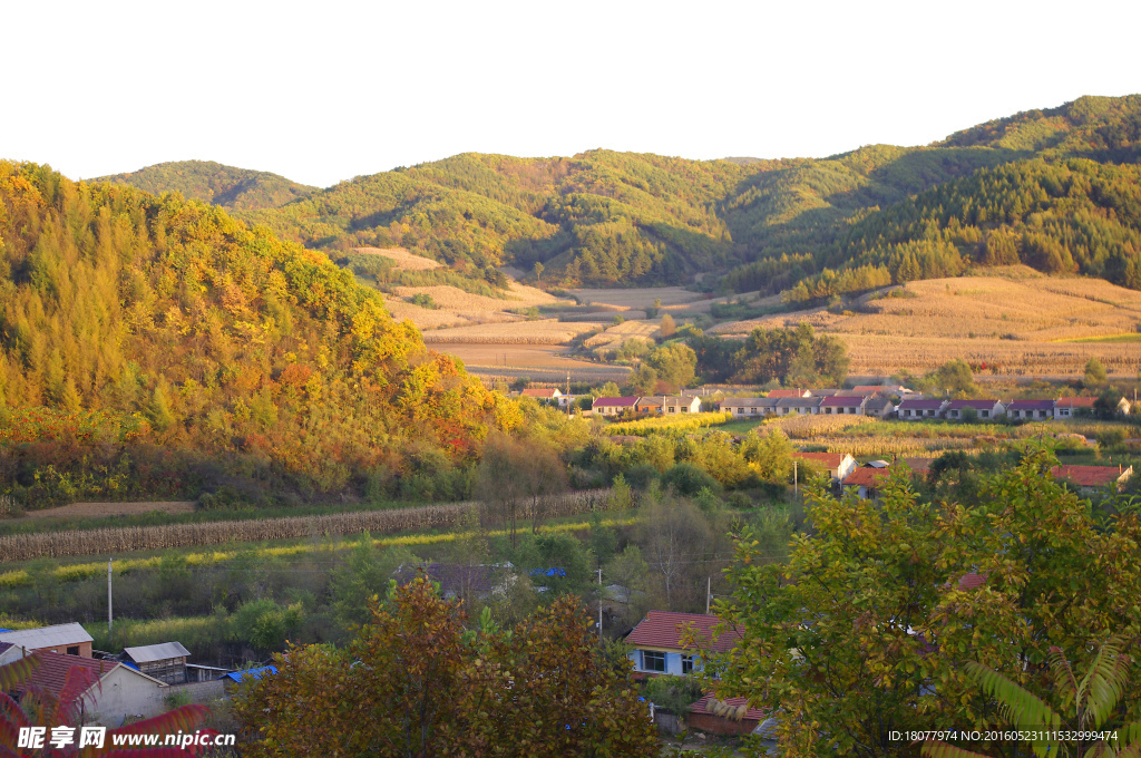 山村