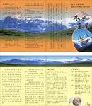 冬虫夏草折页