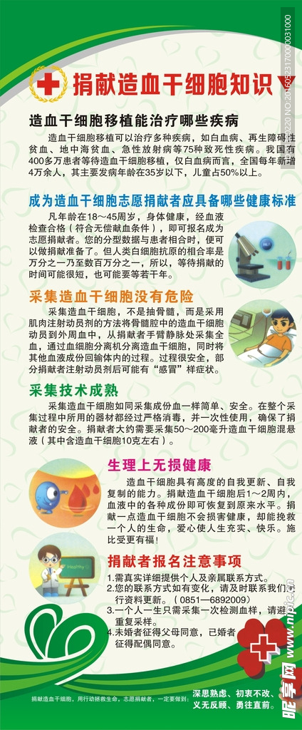 造血干细胞