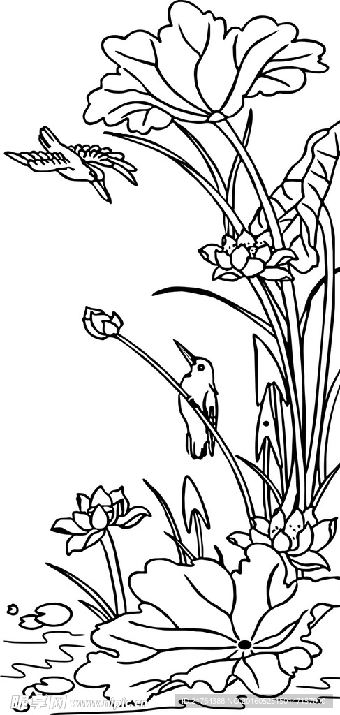 莲花