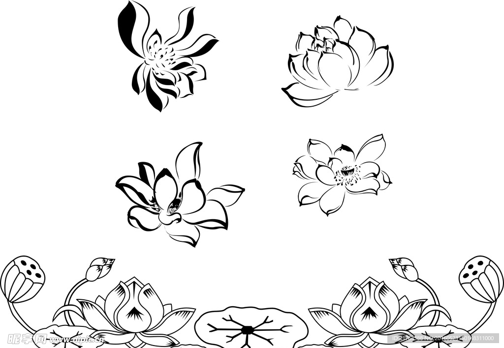 莲花