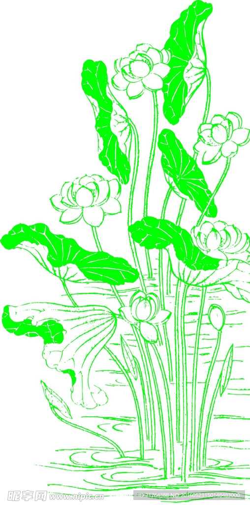 莲花
