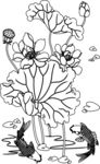 莲花