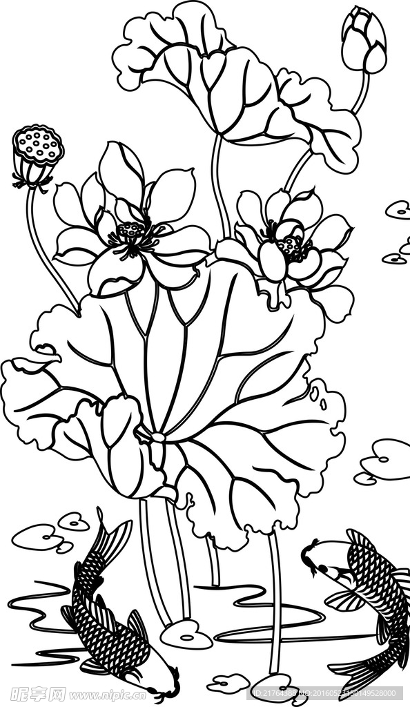莲花
