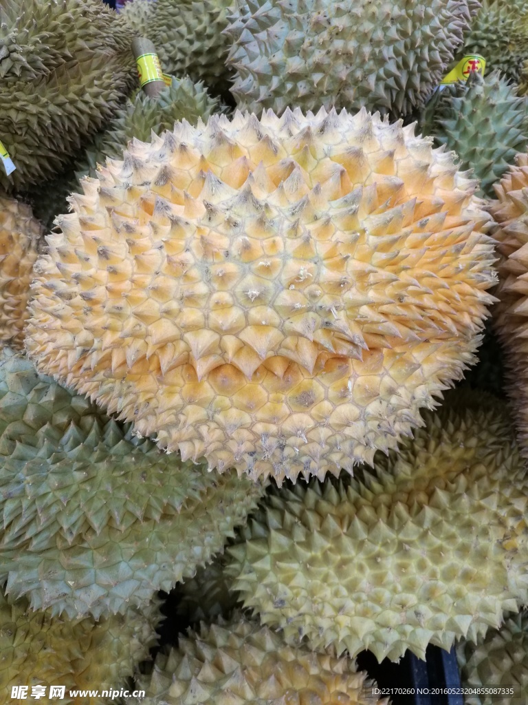 榴莲