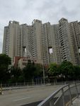 高楼大厦