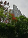 高楼大厦